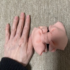 オレンジよりのピンクの髪留めの画像