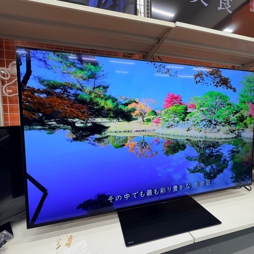 USED 有機ELテレビ SHARP 2024年 55V