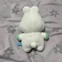 んぽちゃむの画像