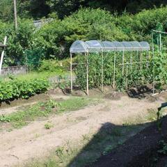 高知県香美市香北町吉野　庭付き平屋住宅（145.25坪）の画像