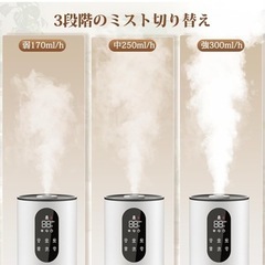 かしつき加湿器の画像