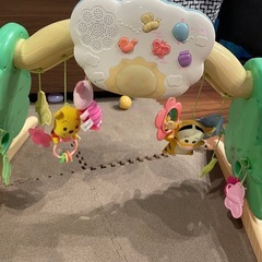 プーメリーの画像