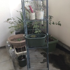 グリーンプランター3段の画像