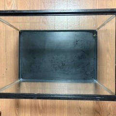 水槽の画像