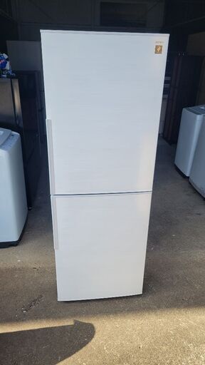 SHARP冷蔵庫✨280L 2024年