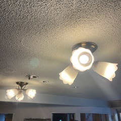 【昭和レトロ✨】スズランモチーフシャンデリアの画像