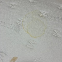 クイーンさいサイズの画像