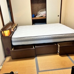 クイーンさいサイズの画像