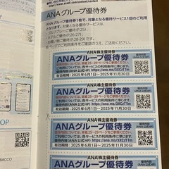 ANAグループ優待券の画像