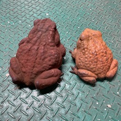 鉄製のカエルの置物の画像