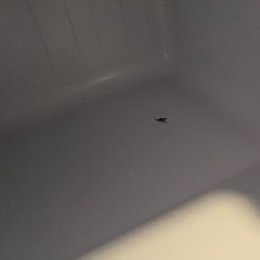 決定しましたの画像