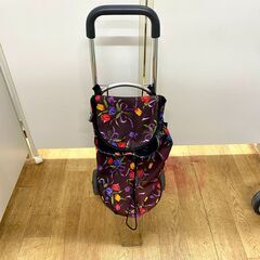 ☆江別市『かいとるどう』★キャリー ショッピングカート 買い物カートの画像