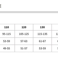 【未使用】DESCENTE デサント 子ども用スキーウエアSNOW JAPANのナショナルチームレプリカモデルの画像