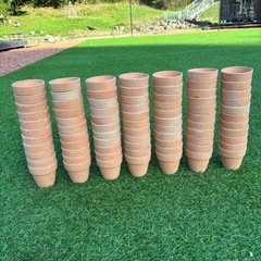 素焼き 植木鉢 2.5号 70個まとめて 素焼き鉢の画像