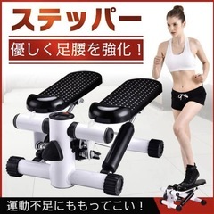 ツイストステッパーの画像