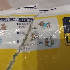 🐶紙オムツ LLの画像