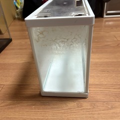 水槽の画像