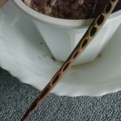 ●無料● アロエ鉢 差し上げます。の画像