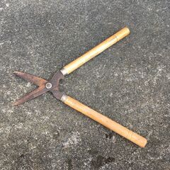  【引き取り限定。置き配。越前市】刈込みバサミの画像