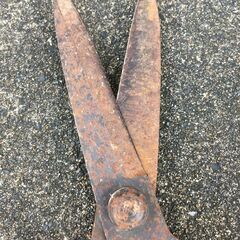  【引き取り限定。置き配。越前市】刈込みバサミの画像