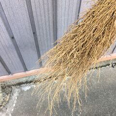  【引き取り限定。置き配。越前市】竹ほうきの画像