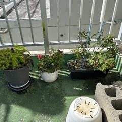 ＊無料でお譲り致します③＊の画像