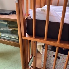 ベビーベットの画像