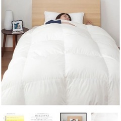 ニトリ　ダブル羽毛布団の画像