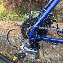 極美品 TREK トレック DOMANE AL2 DISC GEN3 サイズ58の画像