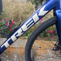 極美品 TREK トレック DOMANE AL2 DISC GEN3 サイズ58の画像