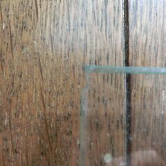 爬虫類、小動物ゲージ　ゼンスイ　タフキュービック60×45×45　２台セットの画像