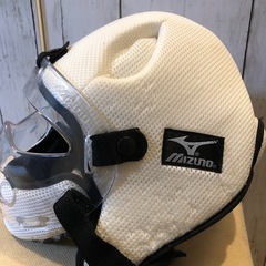 メンホー　ジャンクの画像