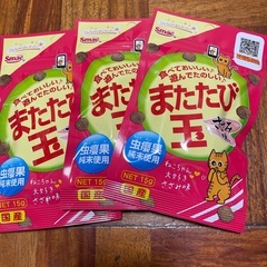 猫のご飯　　の画像