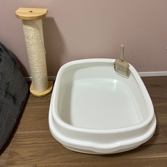 猫トイレ／ドーム型ベッド／爪研ぎの画像