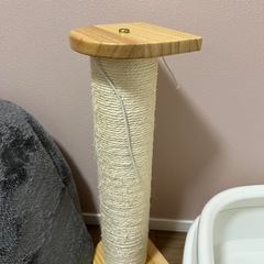 猫トイレ／ドーム型ベッド／爪研ぎの画像