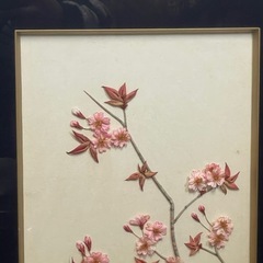 布絵 ホトトギス 桜　春  額装 インテリア アンティークの画像