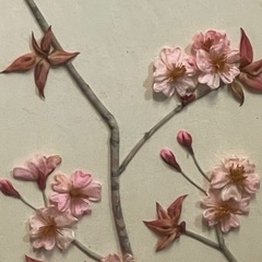 布絵 ホトトギス 桜　春  額装 インテリア アンティークの画像