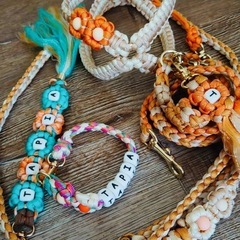 2026 ひよりべっと パラコード ワークショップの画像