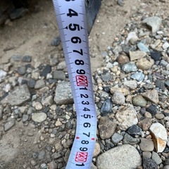 コンテナの画像