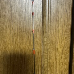 Daiwa エメラルダス　ティップランロッドの画像