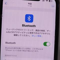 BOSE QuietComfort Earbuds II ワイヤレスイヤホン (435911)の画像