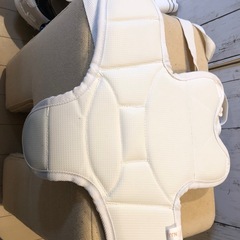 胴当てＳＳの画像