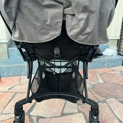 ピジョン(ランフィ)の画像