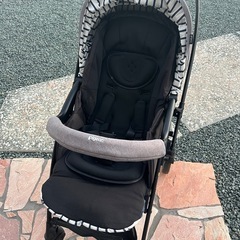 ピジョン(ランフィ)の画像