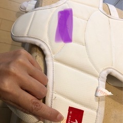 胴当てＳＳＳの画像