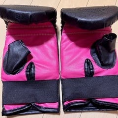 ミットネス　グローブの画像