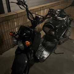 ズーマーの画像