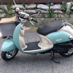 ビーノモルフェ　4ストの画像