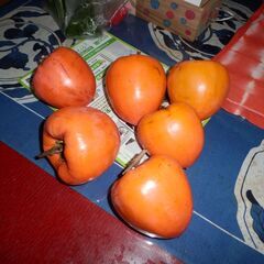 渋柿（干し柿用）の画像