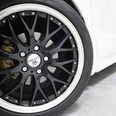 ワンオーナーのお車です🐶💕トヨタ ノア Siの画像